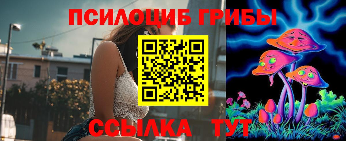 Стерлитамак  Псилоцибиновые грибы MAGIC MUSHROOMS  Галлюциногенные грибы GOLDEN TEACHER  Вход с VPN 